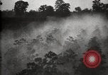 Image of government expert United States USA, 1921, second 35 stock footage video 65675028400