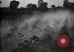 Image of government expert United States USA, 1921, second 36 stock footage video 65675028400
