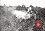 Image of government expert United States USA, 1921, second 43 stock footage video 65675028400