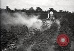 Image of government expert United States USA, 1921, second 45 stock footage video 65675028400
