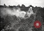 Image of government expert United States USA, 1921, second 46 stock footage video 65675028400