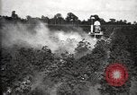 Image of government expert United States USA, 1921, second 47 stock footage video 65675028400