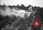 Image of government expert United States USA, 1921, second 48 stock footage video 65675028400