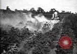 Image of government expert United States USA, 1921, second 50 stock footage video 65675028400