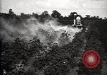 Image of government expert United States USA, 1921, second 51 stock footage video 65675028400