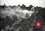 Image of government expert United States USA, 1921, second 52 stock footage video 65675028400