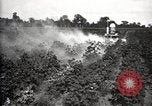 Image of government expert United States USA, 1921, second 53 stock footage video 65675028400