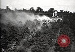 Image of government expert United States USA, 1921, second 54 stock footage video 65675028400