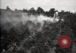 Image of government expert United States USA, 1921, second 55 stock footage video 65675028400