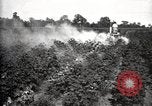 Image of government expert United States USA, 1921, second 57 stock footage video 65675028400