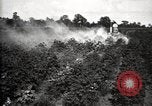 Image of government expert United States USA, 1921, second 58 stock footage video 65675028400