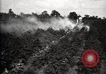 Image of government expert United States USA, 1921, second 59 stock footage video 65675028400