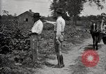 Image of government expert teaches use of insecticide United States USA, 1921, second 18 stock footage video 65675028401