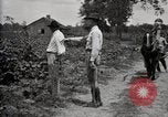 Image of government expert teaches use of insecticide United States USA, 1921, second 19 stock footage video 65675028401