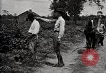 Image of government expert teaches use of insecticide United States USA, 1921, second 20 stock footage video 65675028401