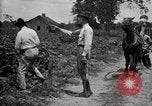 Image of government expert teaches use of insecticide United States USA, 1921, second 21 stock footage video 65675028401