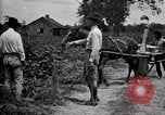 Image of government expert teaches use of insecticide United States USA, 1921, second 23 stock footage video 65675028401