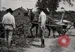 Image of government expert teaches use of insecticide United States USA, 1921, second 24 stock footage video 65675028401