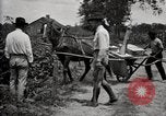 Image of government expert teaches use of insecticide United States USA, 1921, second 25 stock footage video 65675028401