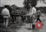 Image of government expert teaches use of insecticide United States USA, 1921, second 26 stock footage video 65675028401