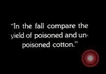 Image of government expert teaches use of insecticide United States USA, 1921, second 30 stock footage video 65675028401