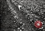 Image of government expert teaches use of insecticide United States USA, 1921, second 51 stock footage video 65675028401