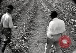 Image of government expert teaches use of insecticide United States USA, 1921, second 61 stock footage video 65675028401
