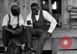 Image of eradication of Boll Weevils through crop dusting United States USA, 1926, second 38 stock footage video 65675028404
