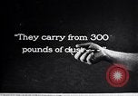 Image of airplane dusting poison United States USA, 1926, second 46 stock footage video 65675028406