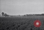 Image of airplane dusting poison United States USA, 1926, second 56 stock footage video 65675028407