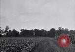 Image of airplane dusting poison United States USA, 1926, second 9 stock footage video 65675028408