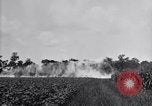 Image of airplane dusting poison United States USA, 1926, second 16 stock footage video 65675028408