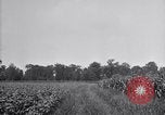 Image of airplane dusting poison United States USA, 1926, second 18 stock footage video 65675028408