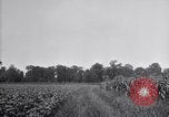 Image of airplane dusting poison United States USA, 1926, second 20 stock footage video 65675028408