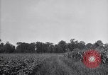 Image of airplane dusting poison United States USA, 1926, second 21 stock footage video 65675028408