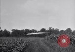 Image of airplane dusting poison United States USA, 1926, second 22 stock footage video 65675028408