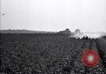 Image of dusting poison United States USA, 1926, second 10 stock footage video 65675028409