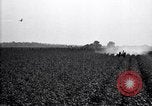 Image of dusting poison United States USA, 1926, second 11 stock footage video 65675028409