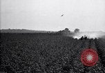Image of dusting poison United States USA, 1926, second 16 stock footage video 65675028409