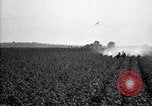 Image of dusting poison United States USA, 1926, second 17 stock footage video 65675028409