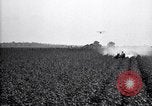 Image of dusting poison United States USA, 1926, second 21 stock footage video 65675028409