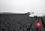 Image of dusting poison United States USA, 1926, second 25 stock footage video 65675028409