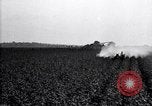 Image of dusting poison United States USA, 1926, second 26 stock footage video 65675028409