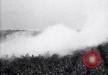 Image of dusting poison United States USA, 1926, second 33 stock footage video 65675028409
