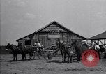 Image of cotton field United States USA, 1926, second 13 stock footage video 65675028410
