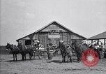 Image of cotton field United States USA, 1926, second 14 stock footage video 65675028410