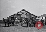 Image of cotton field United States USA, 1926, second 15 stock footage video 65675028410