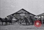 Image of cotton field United States USA, 1926, second 16 stock footage video 65675028410