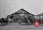 Image of cotton field United States USA, 1926, second 17 stock footage video 65675028410