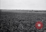 Image of cotton field United States USA, 1926, second 28 stock footage video 65675028410